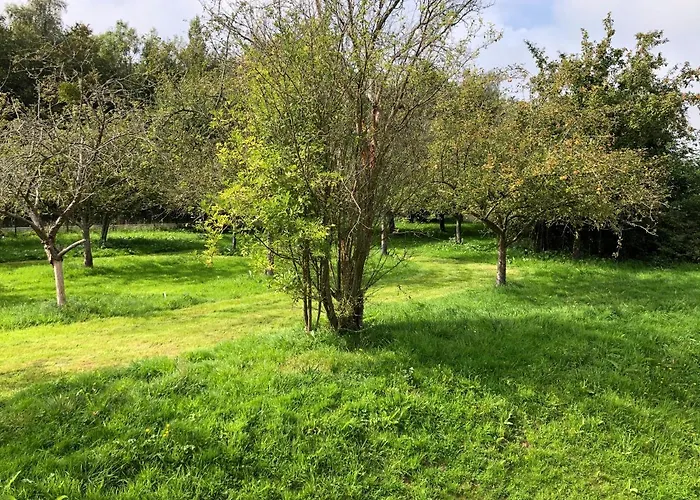 Avec Piscine Aux Portes D'honfleur דירה *