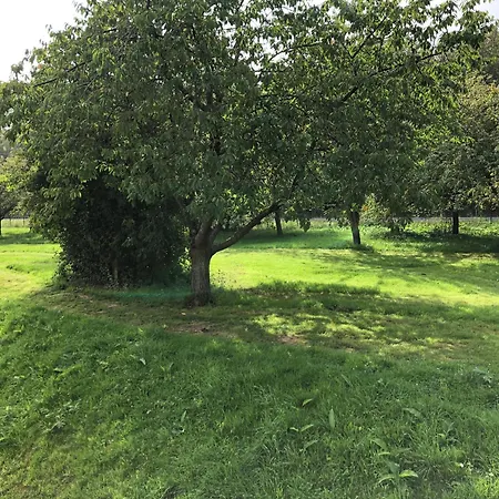 Avec Piscine Aux Portes D'honfleur